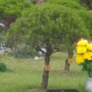 갈월공원 이미지