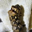 펀포레스트 이미지