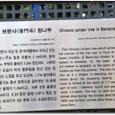 성지중학교 이미지