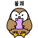 꾸꾸마켓