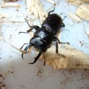 (주)애사랑 이미지