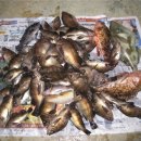 늑도낚시편의점 이미지