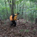 수월산[1](1037m) 수월산[2](610m) 국사봉[1](562m) 국사봉[2](570m)/전북 장수군 천천면 이미지