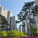 센텀단지내 행운부동산공인중개사사무소 | 센텀베뉴 중심의 영종하늘도시 부동산 여정 시작하기