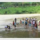 적량초등학교 이미지