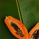 빵과함께 이미지