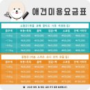 킹스독 이미지