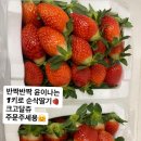 구항농장 이미지