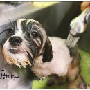 벤지동물병원 이미지