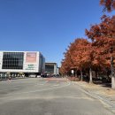 동원정비 | 대전 단풍 명소✨ &lt;한밭수목원 동원&gt; 단풍 절정 포토존·주차꿀팁 총정리 (가을산책/데이트코스)