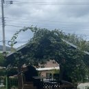 옥수정가든 이미지