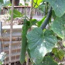 농암농장 이미지