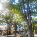 평화교통정비 | 구리 &amp; 남양주 :: 24.09.29 포토덤프 임장후기