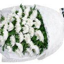 선산대로-8 이미지