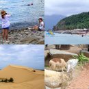 소이목장 | 베트남 나트랑 판랑 여행 사막 호핑투어 예약 후기