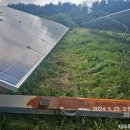 무성햇빛발전소 이미지