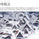 베테랑투어 | 일본 소도시 여행 추천, 나고야 근교 시라카와고 & 다카야마 투어 베테랑 가이드 후기(ft.명물 카레빵)