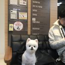 윌 동물외상센터 이미지