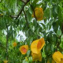 수진농장 이미지