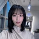 정컬렉션