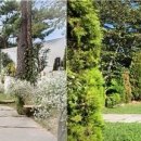 진해구 ⓒ-40 이미지