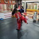 합기도 정도관 이미지