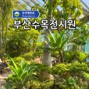 허브원 | 부산 도심 속 숨은 힐링 명소 수목원, 대연수목전시원 산책 후기