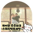 본오1동주민센터 페달로옆 | 삼척 하이원 추추파크 스위치 백트레인 꿀팁 | 이용시간 소요시간 할인예약 방법