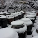 탑골농원 이미지