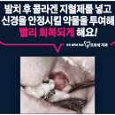 오르세치과의원 이미지