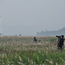 공룡알화석지방문자센터 이미지