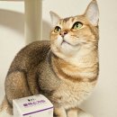 (주)이엘티사이언스 이미지