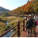 월악산국립공원 단양분소 이미지