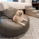 오션더포인트호텔 이미지