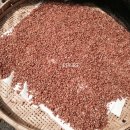 광미농장 이미지