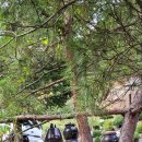 강릉영주횟집 이미지