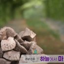 하늘농장6 이미지