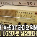 금성사 Daum카페