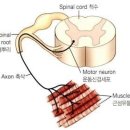 다담한의원 이미지