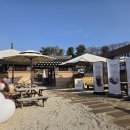 딸기애견 이미지