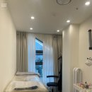 개 in 살롱 이미지