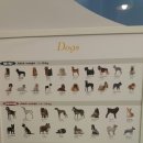 24시 수유 바른펫 동물의료센터 네이버블로그