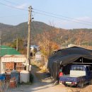 조류보호협회 밀양시지회 이미지