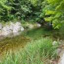 갯골산머루 민박 이미지