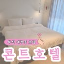호텔콘트 | 부산 중구 대청동 콘트호텔 스탠다드 더블 내돈내산 후기