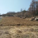 안성면010 이미지