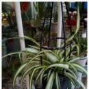 경원농장 이미지