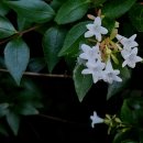 하얀꽃어린이공원 이미지