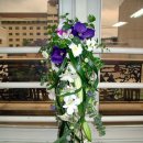 캐스캐이드 이미지