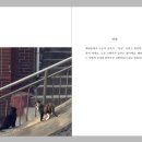 각자의산책